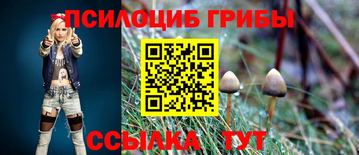 Галлюциногенные грибы прущие грибы Коломна